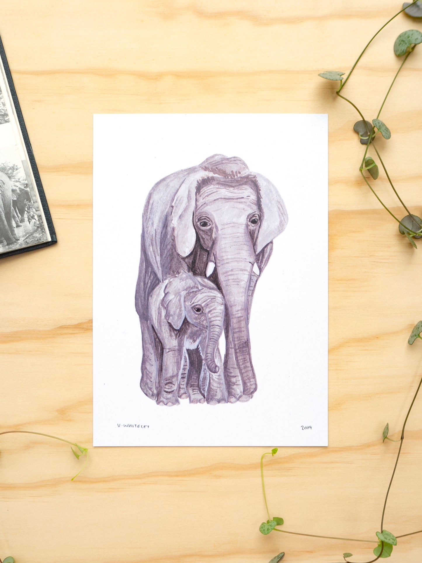 Elephant Mother and Babe Print