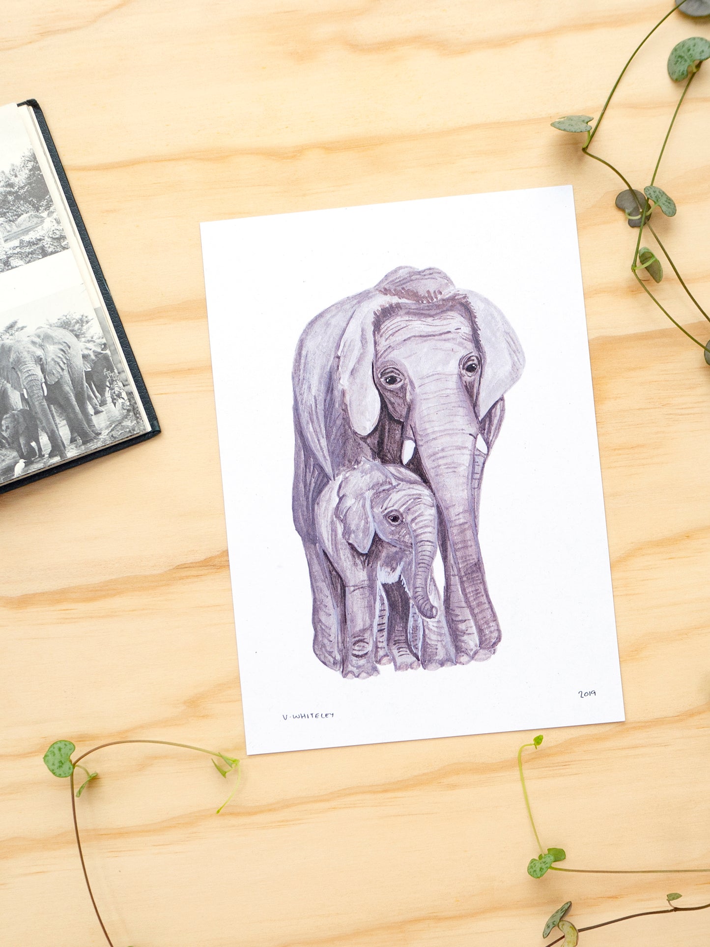 Elephant Mother and Babe Print