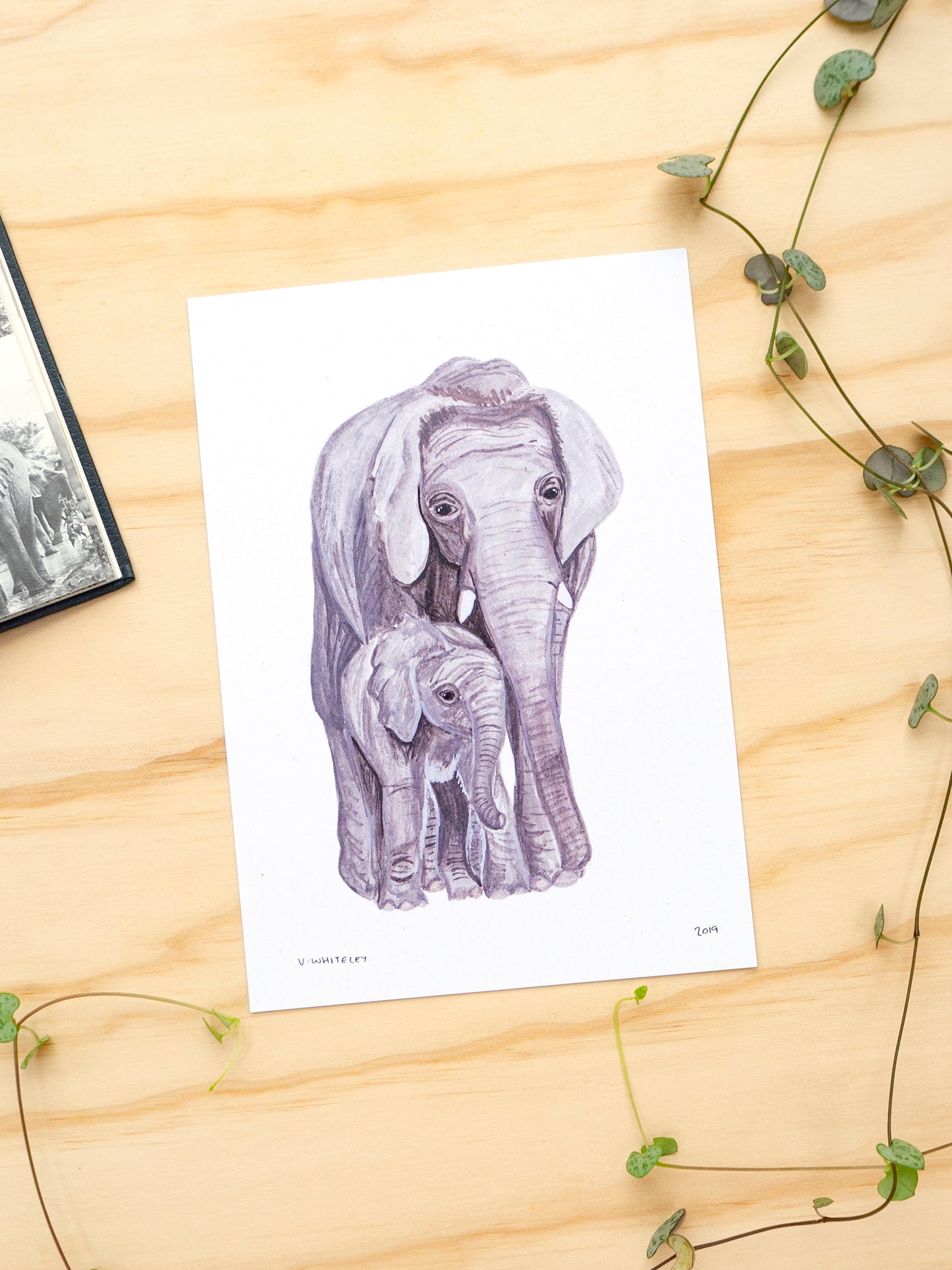 Elephant Mother and Babe Print