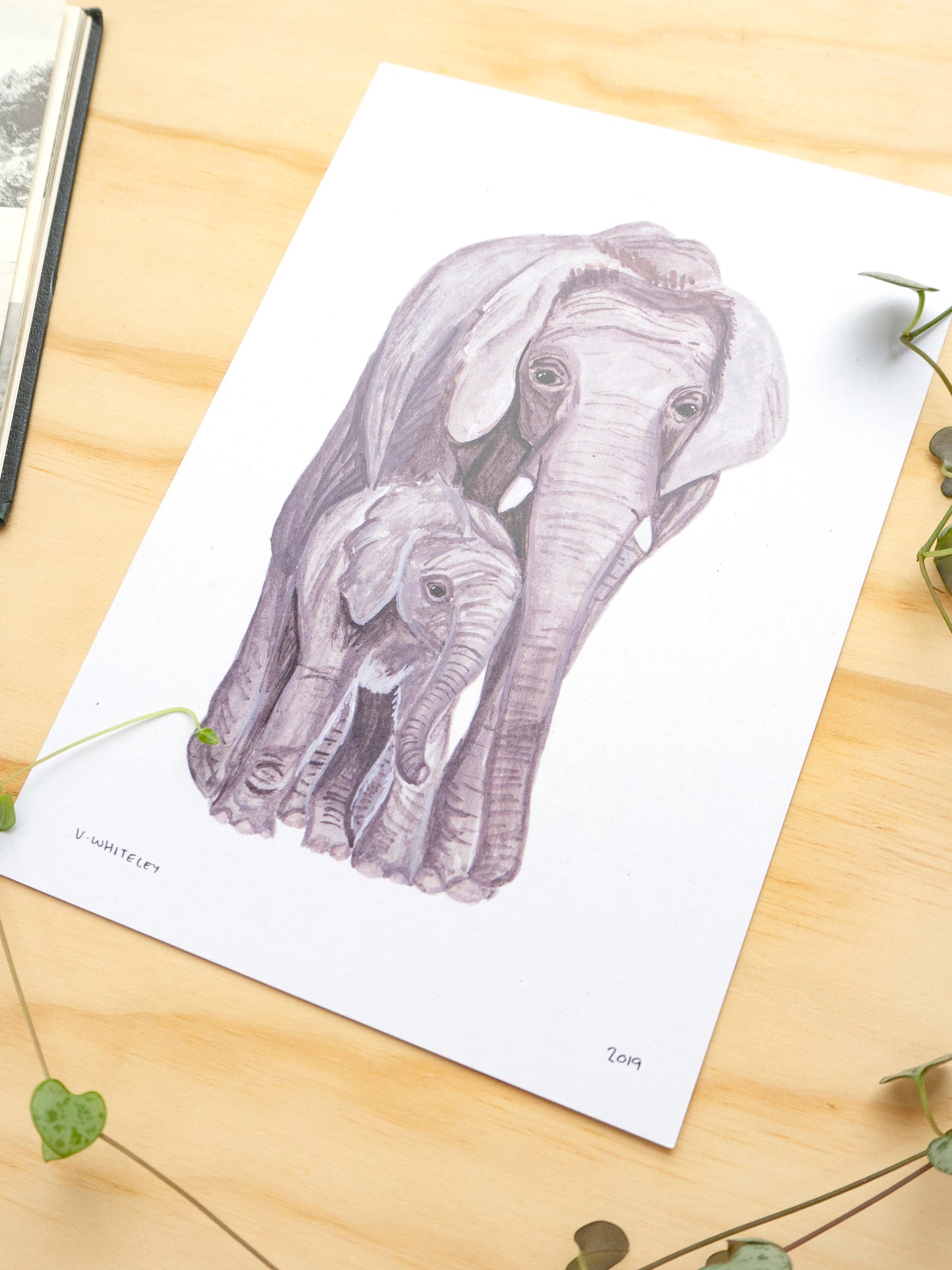 Elephant Mother and Babe Print