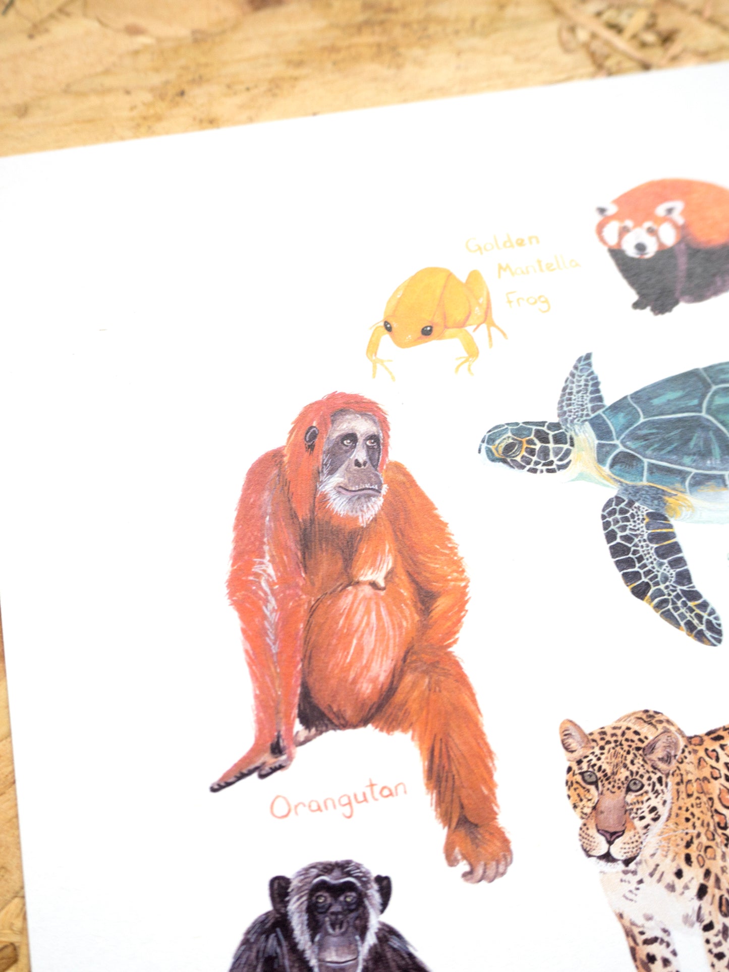 Endangered Animals Print