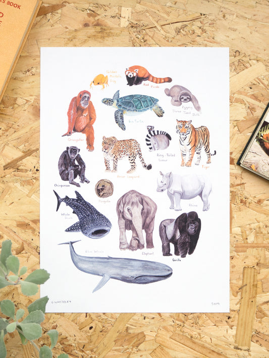 Endangered Animals Print