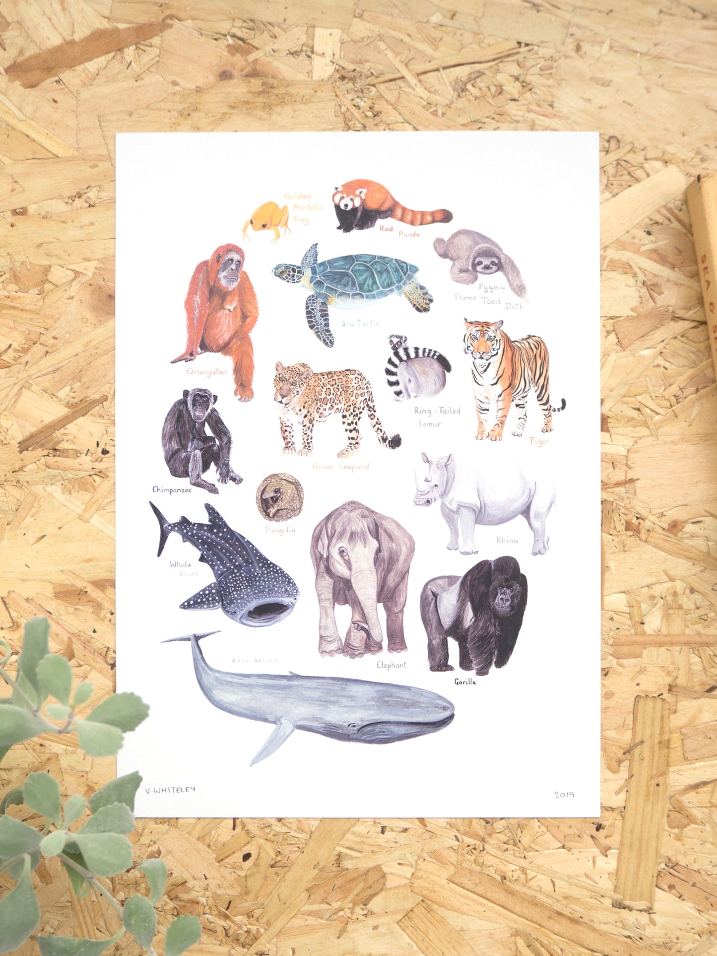 Endangered Animals Print