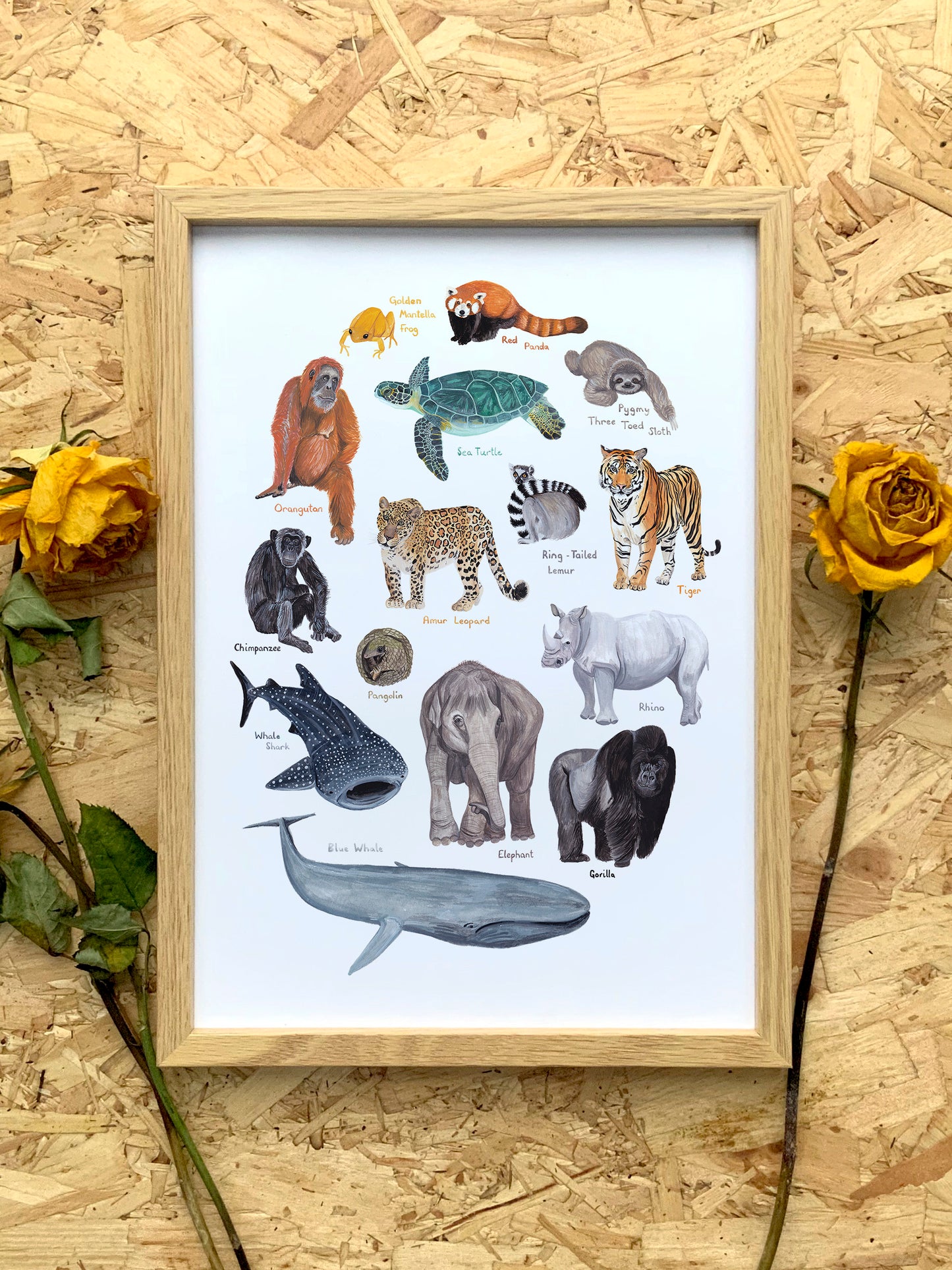 Endangered Animals Print