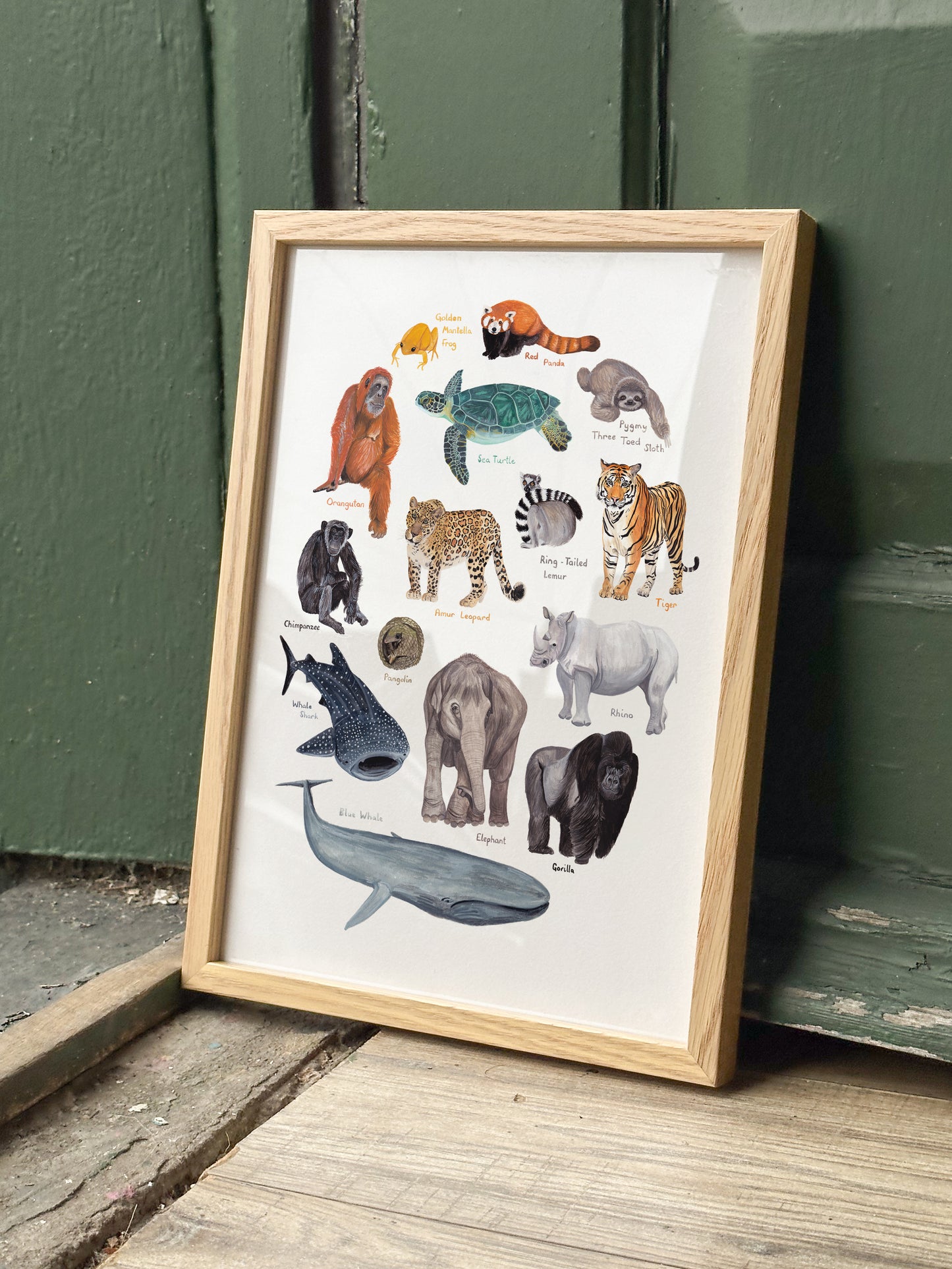 Endangered Animals Print