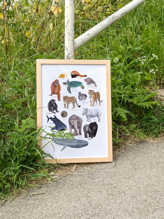 Endangered Animals Print