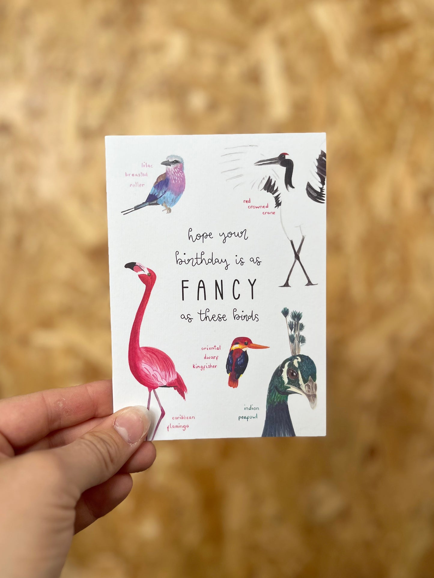 Fancy Birds Birthday Card