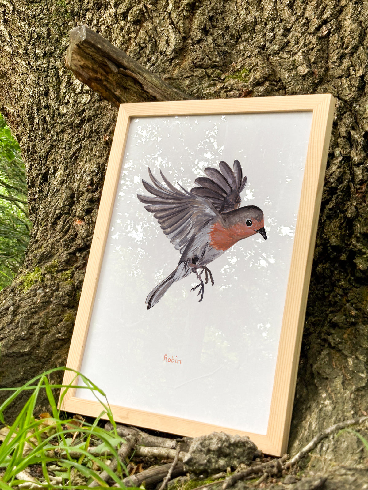 Flying Robin Art Print
