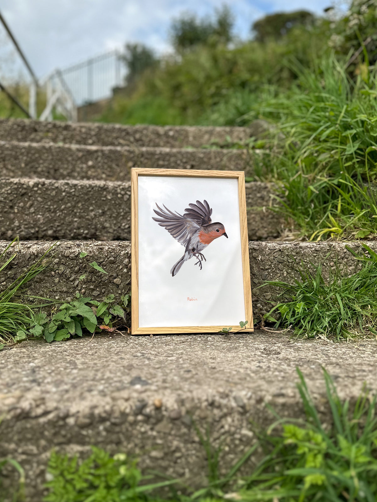 Flying Robin Art Print