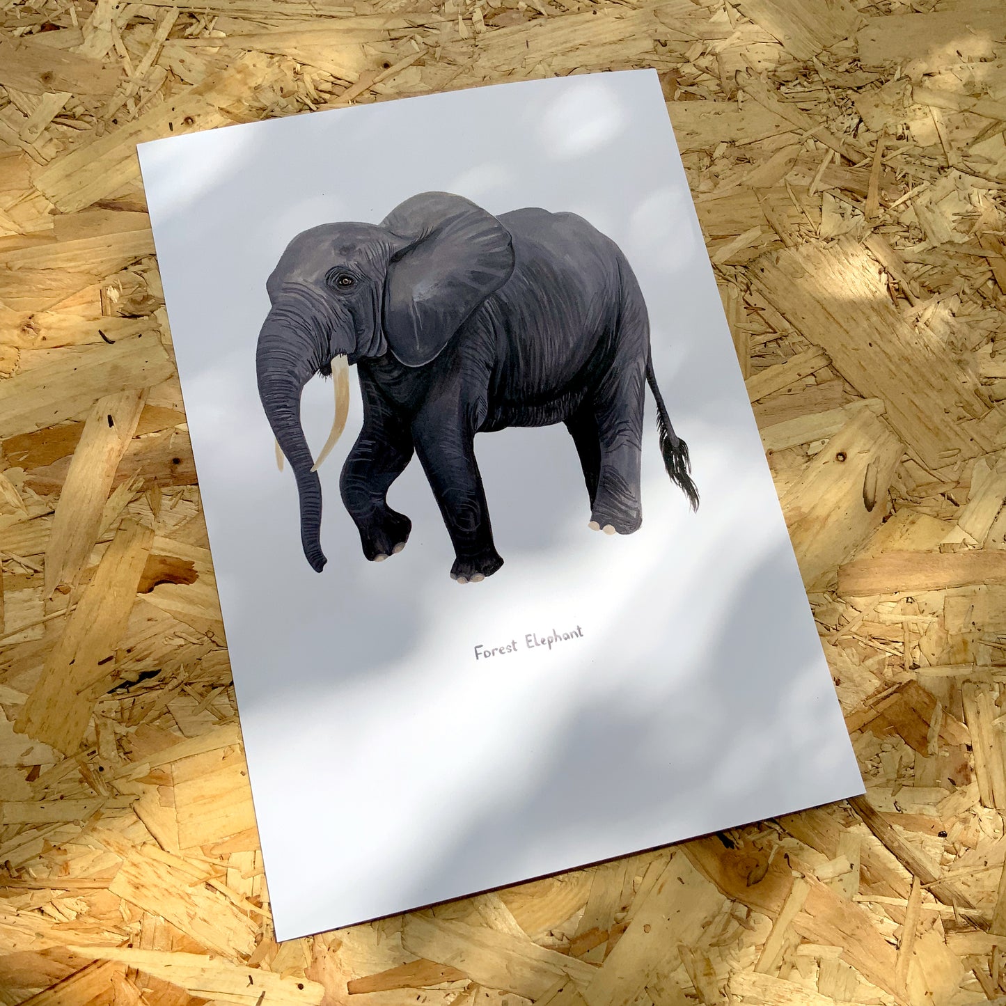 Forest Elephant Print