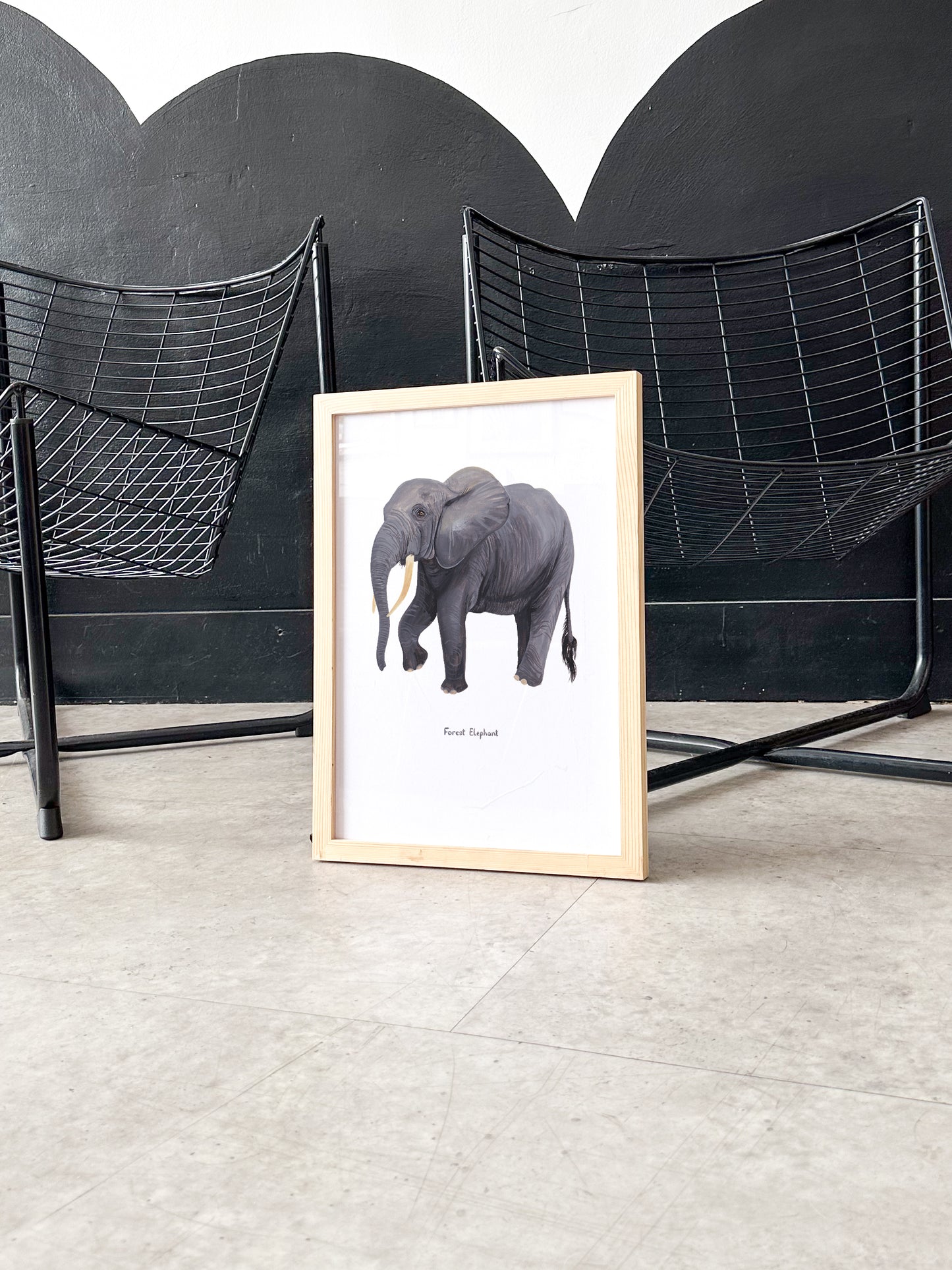 Forest Elephant Print