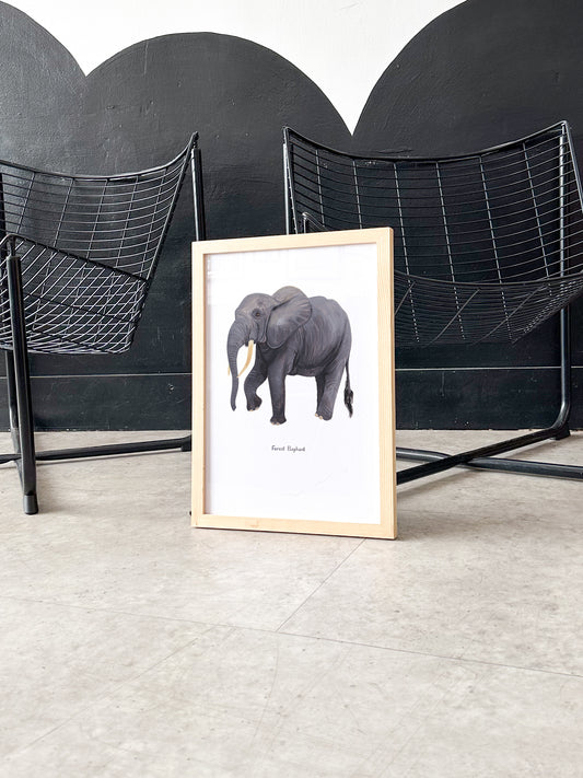 Forest Elephant Print