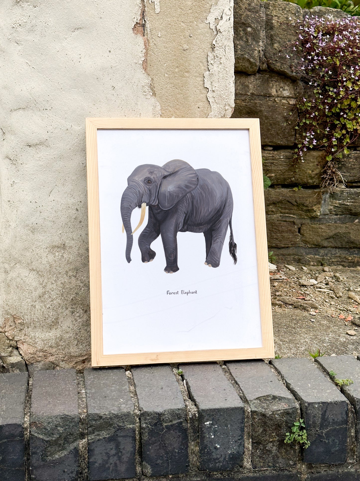 Forest Elephant Print