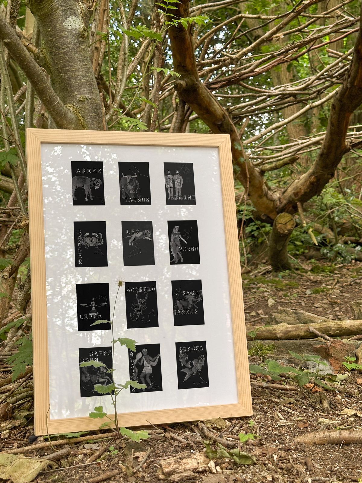 Zodiac Tiles Art Print