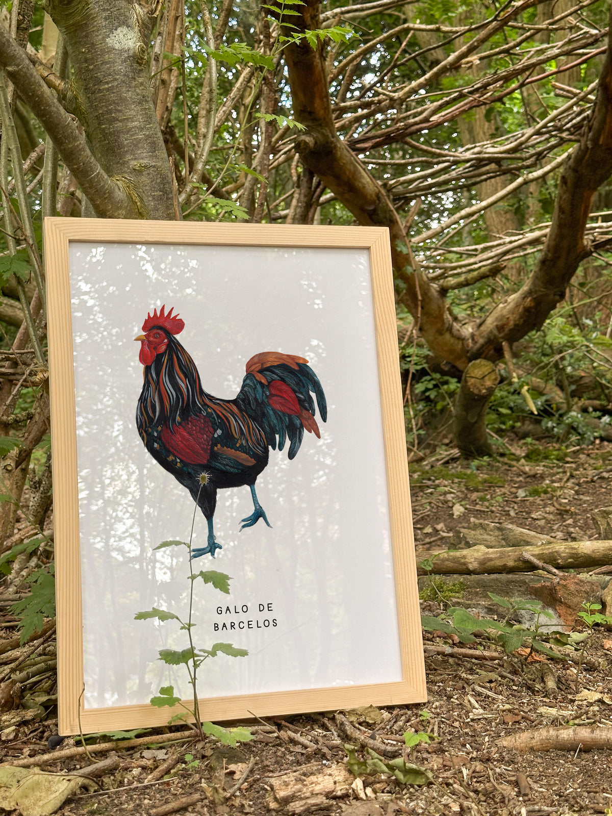 Galo de Barcelos (Portuguese Cockerel) Art Print