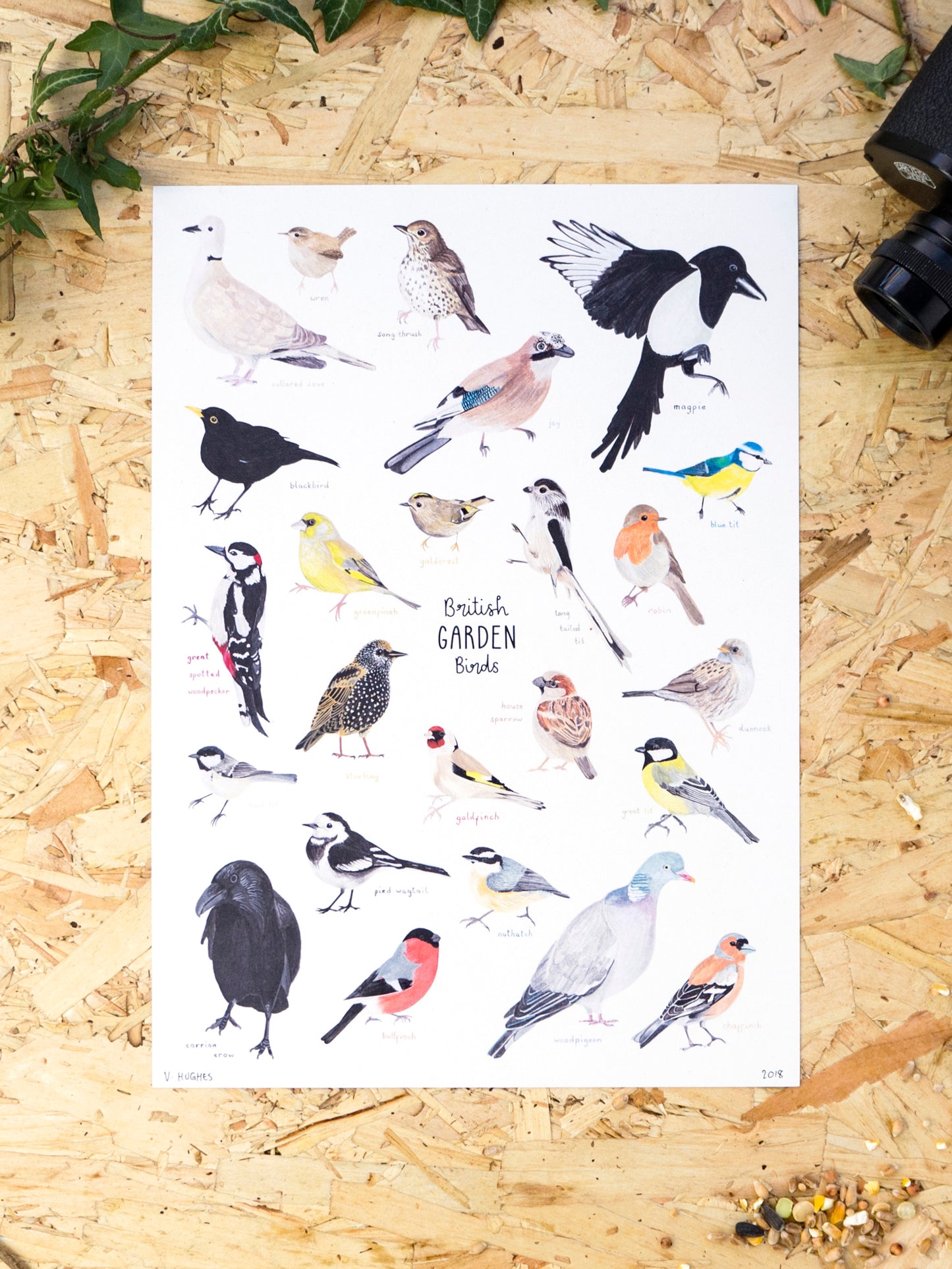 Garden Birds Print