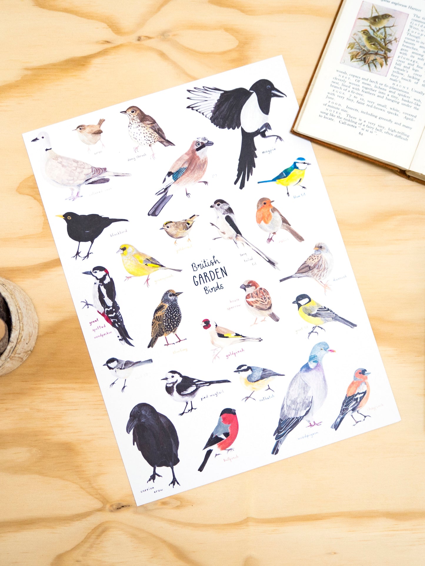 Garden Birds Print