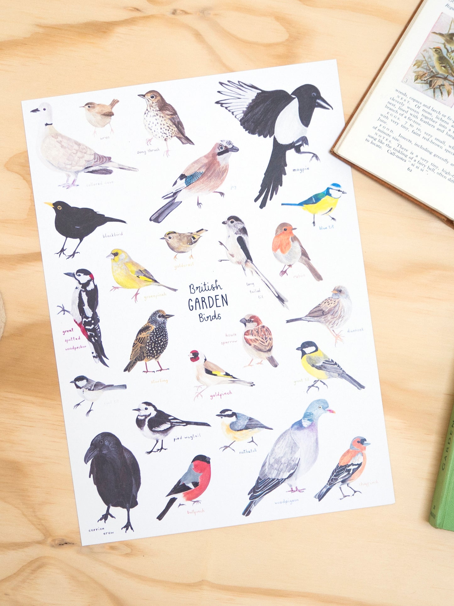 Garden Birds Print