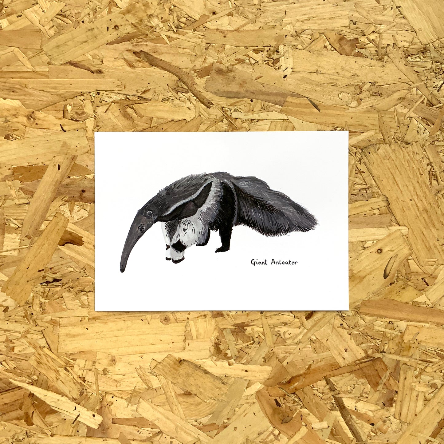 Giant Anteater Print