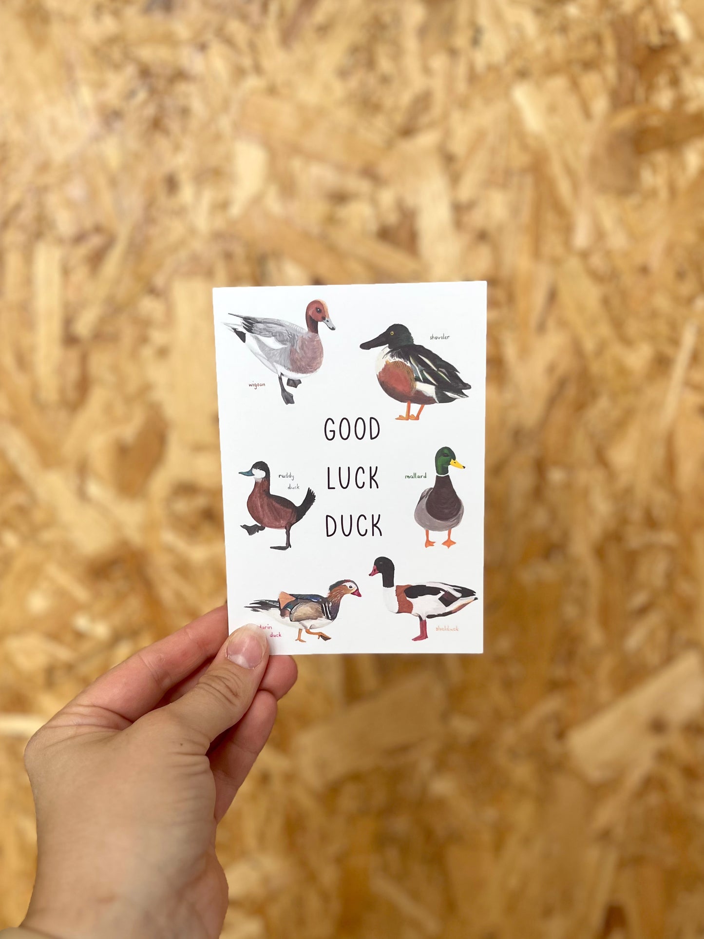 Good Luck Duck Card