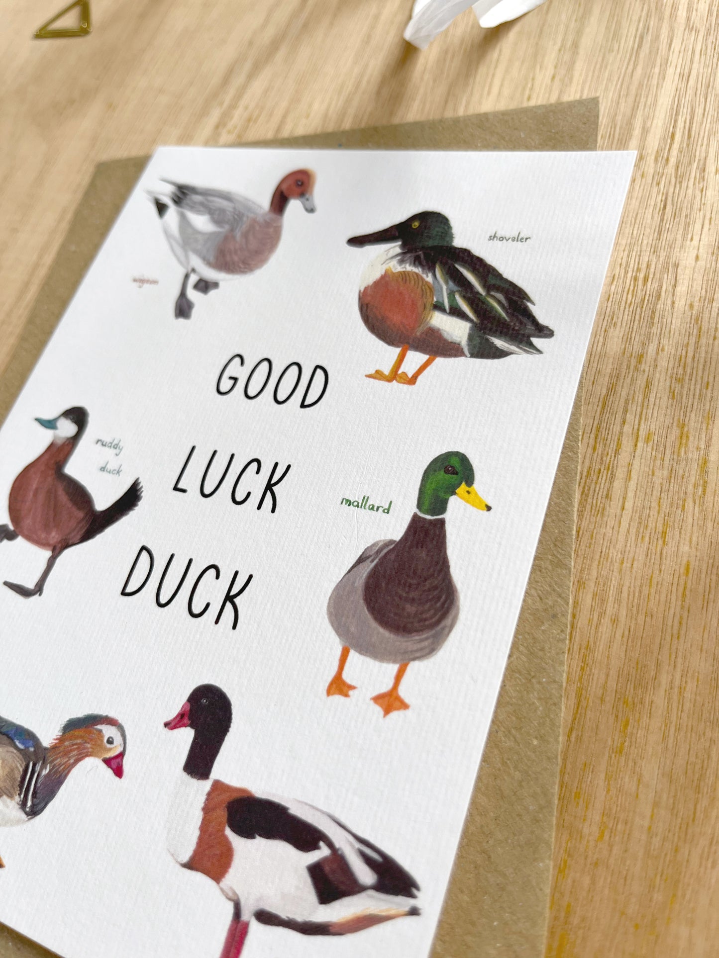 Good Luck Duck Card