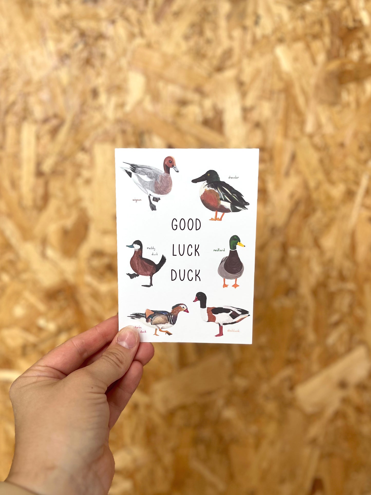 Good Luck Duck Card