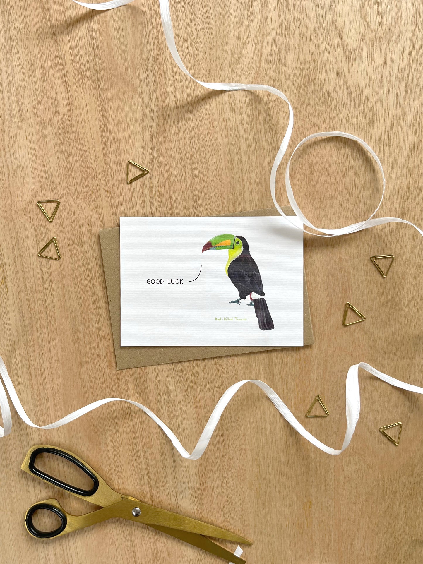 Good Luck Toucan Card