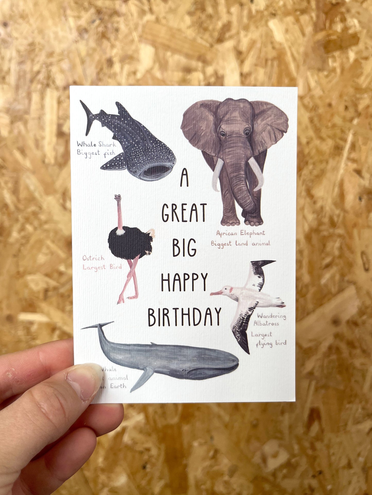 A Great Big Happy Birthday Card