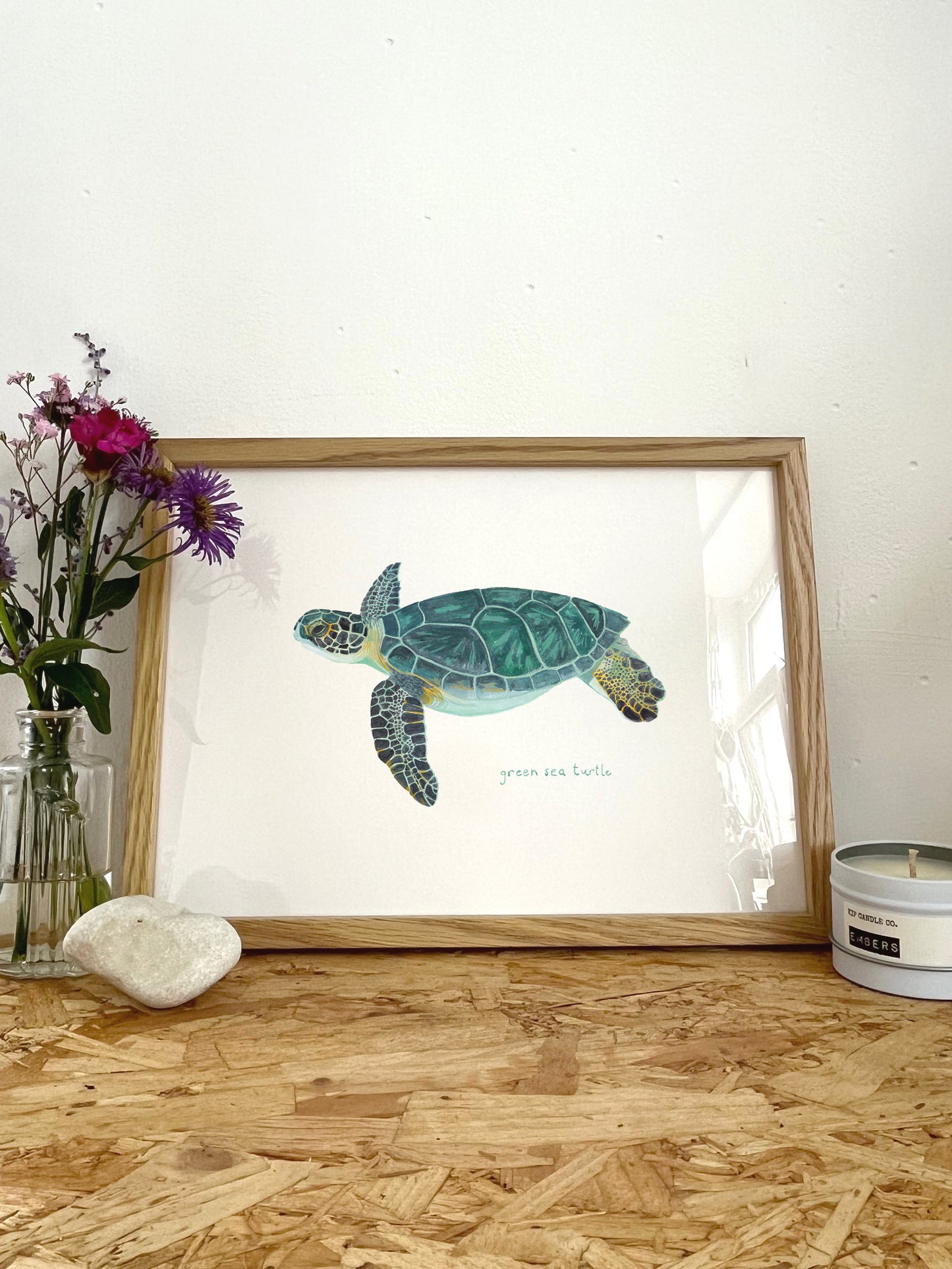 Green Sea Turtle Print