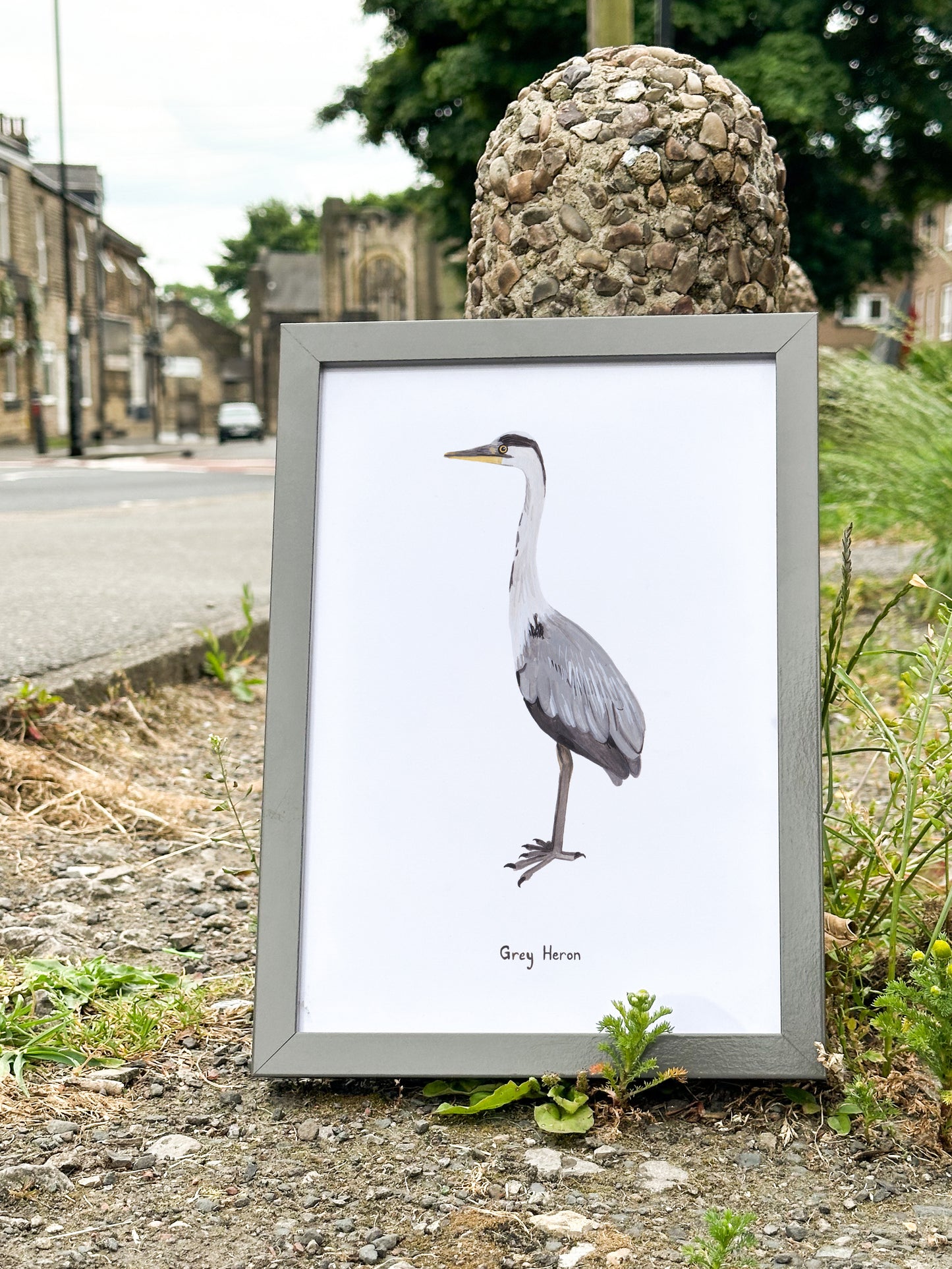 Grey Heron Print