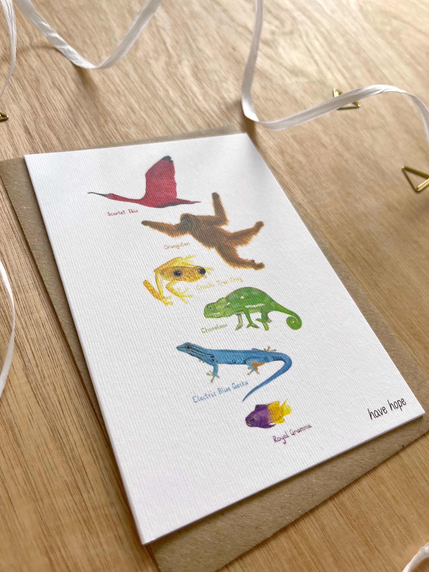 Animal Rainbow of Hope Card