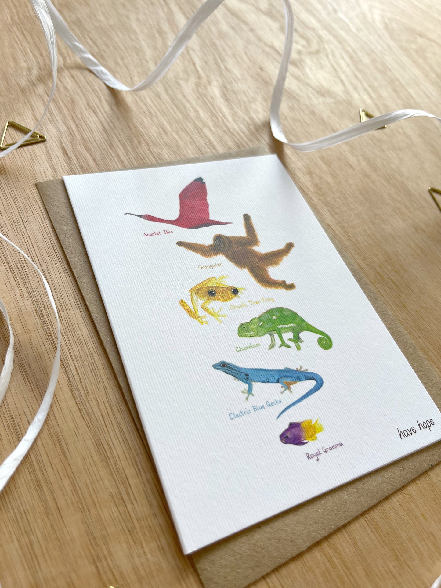 Animal Rainbow of Hope Card