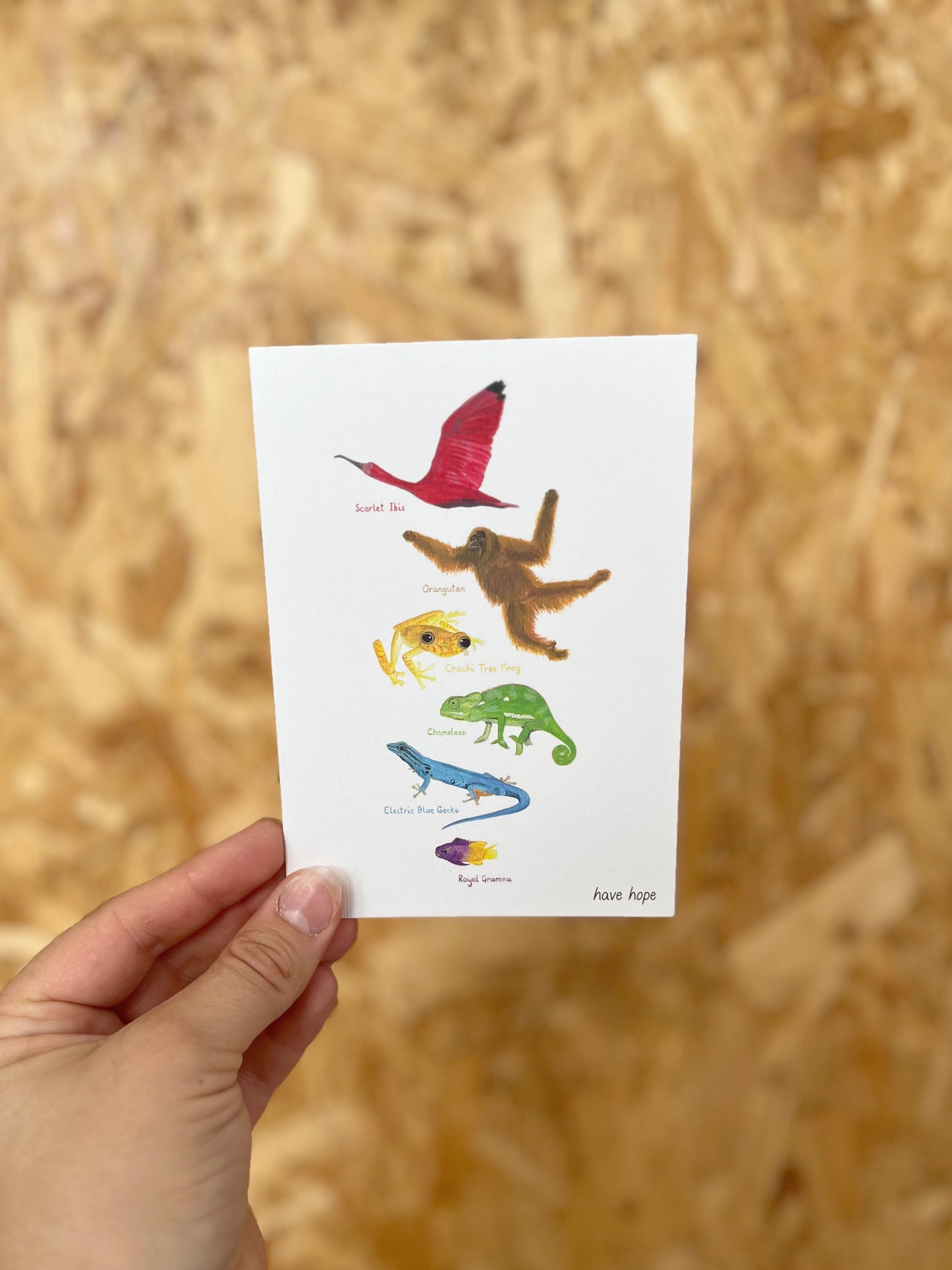 Animal Rainbow of Hope Card