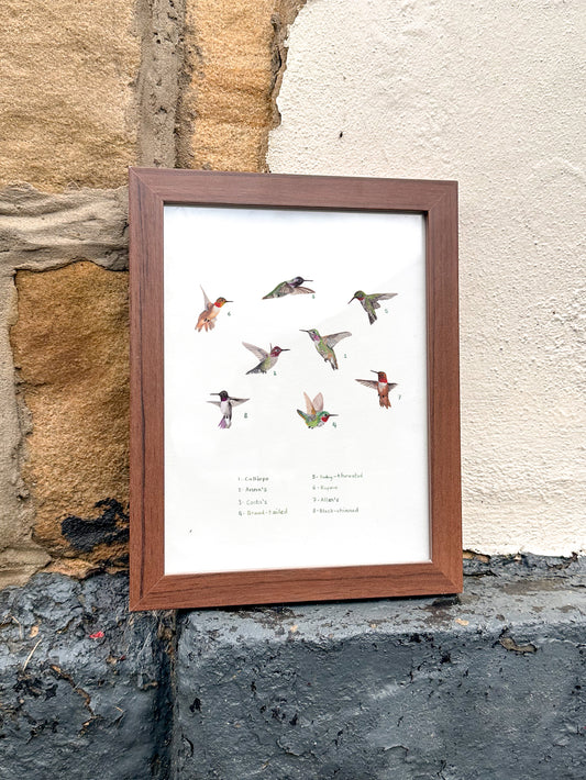 Hummingbirds Print