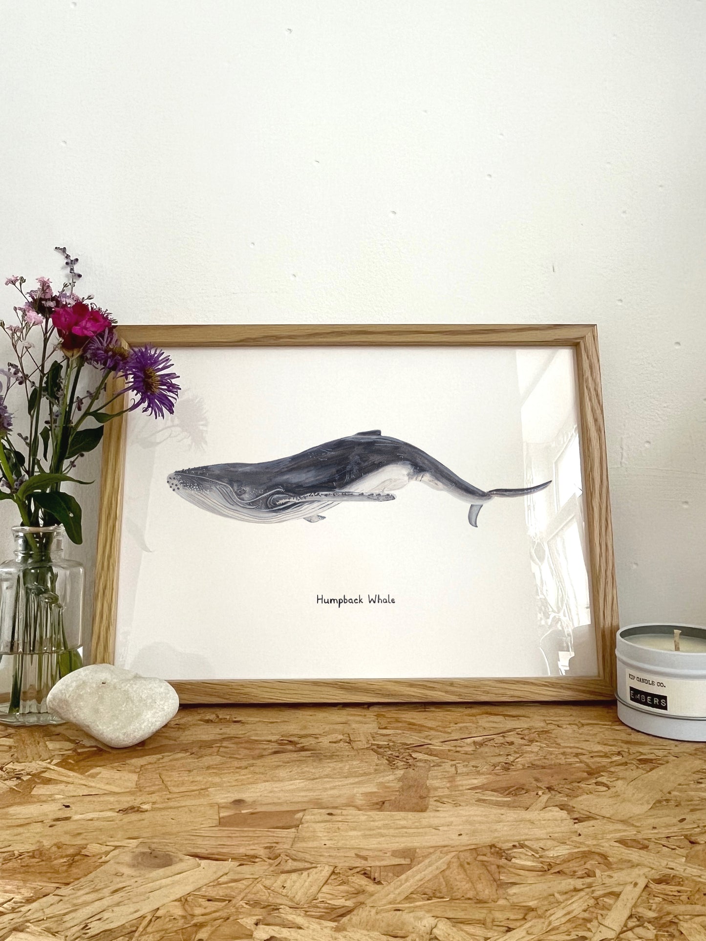 Humpback Whale Print