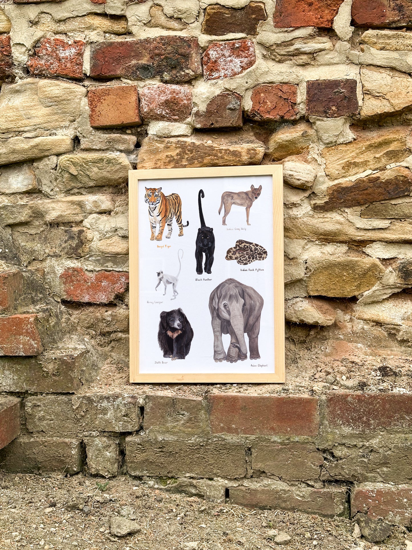 Real Life Jungle Book Print