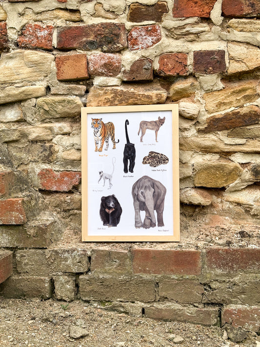 Real Life Jungle Book Print