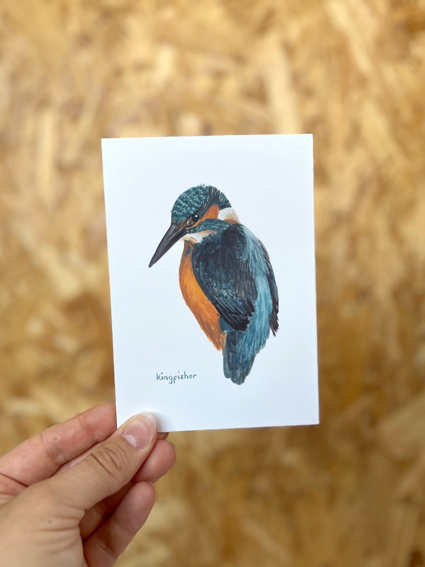 Kingfisher Card