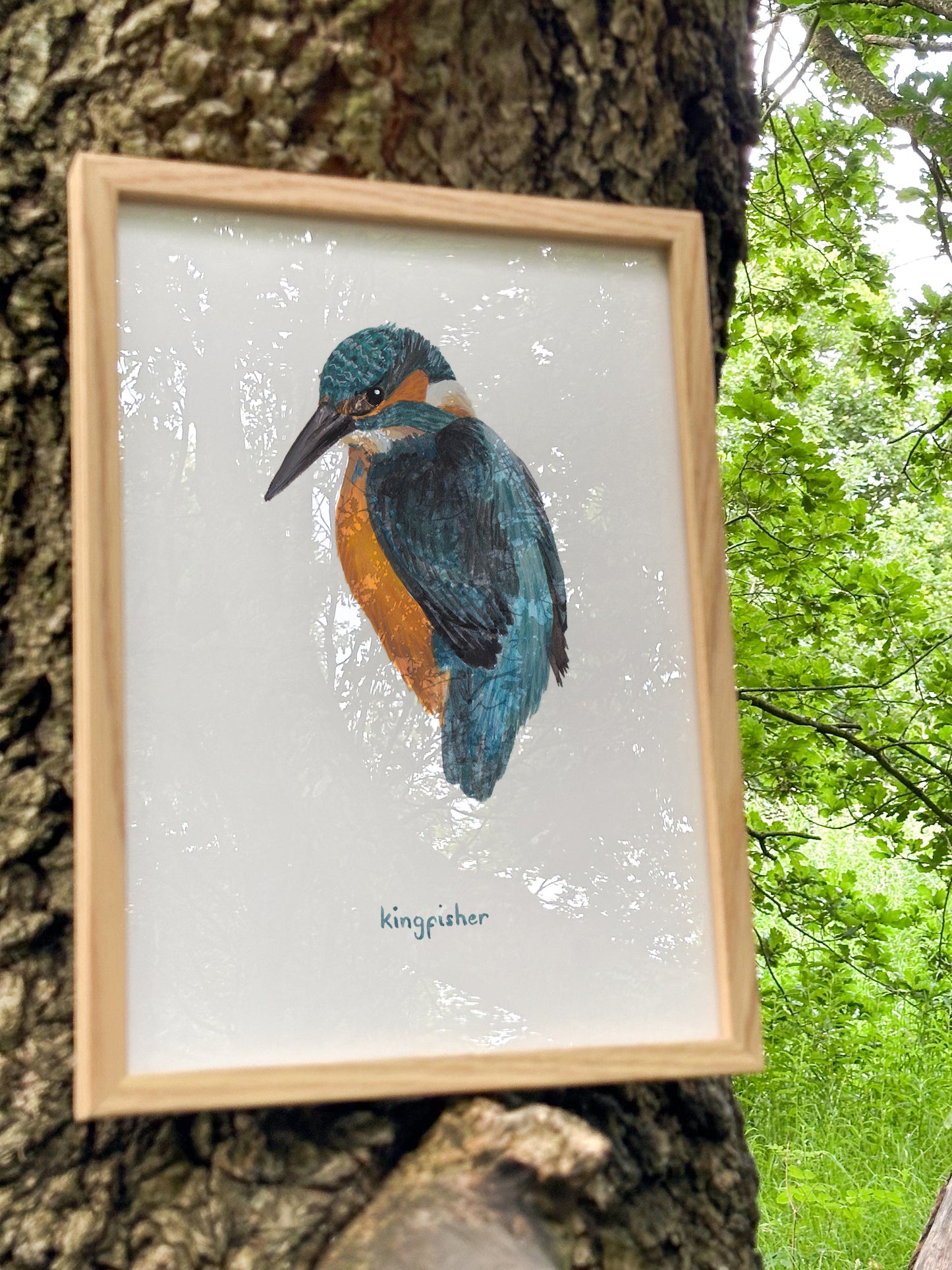 Kingfisher Print