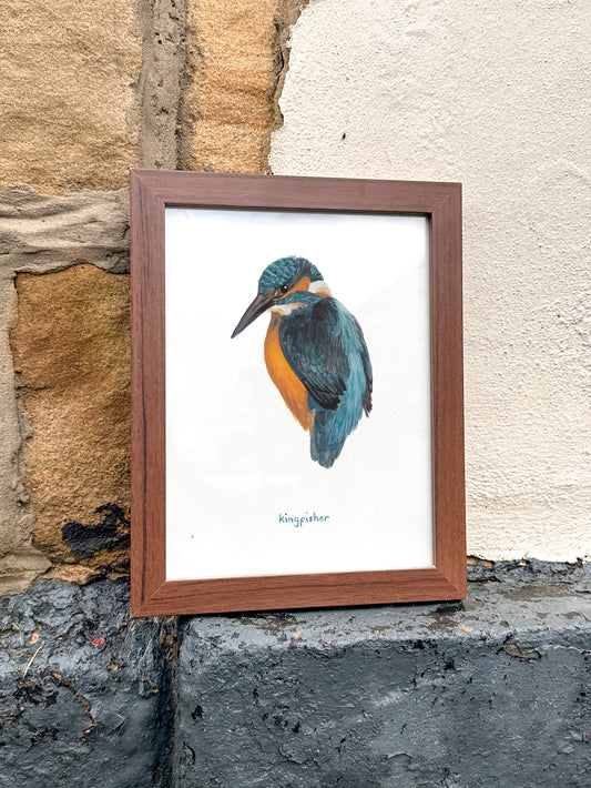 Kingfisher Print