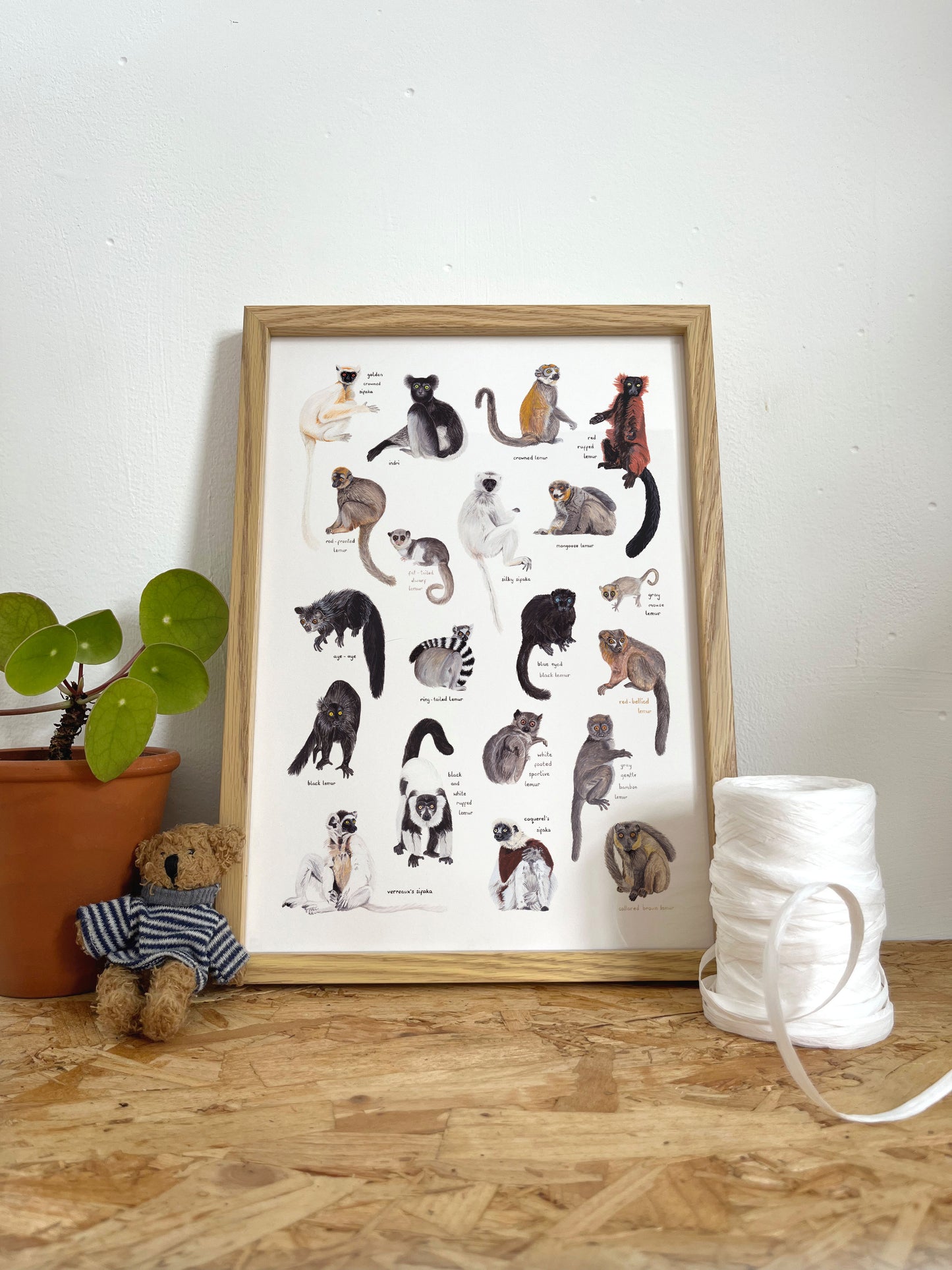 Lemurs of Madagascar Print