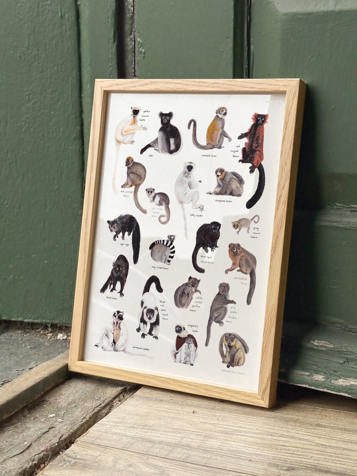Lemurs of Madagascar Print