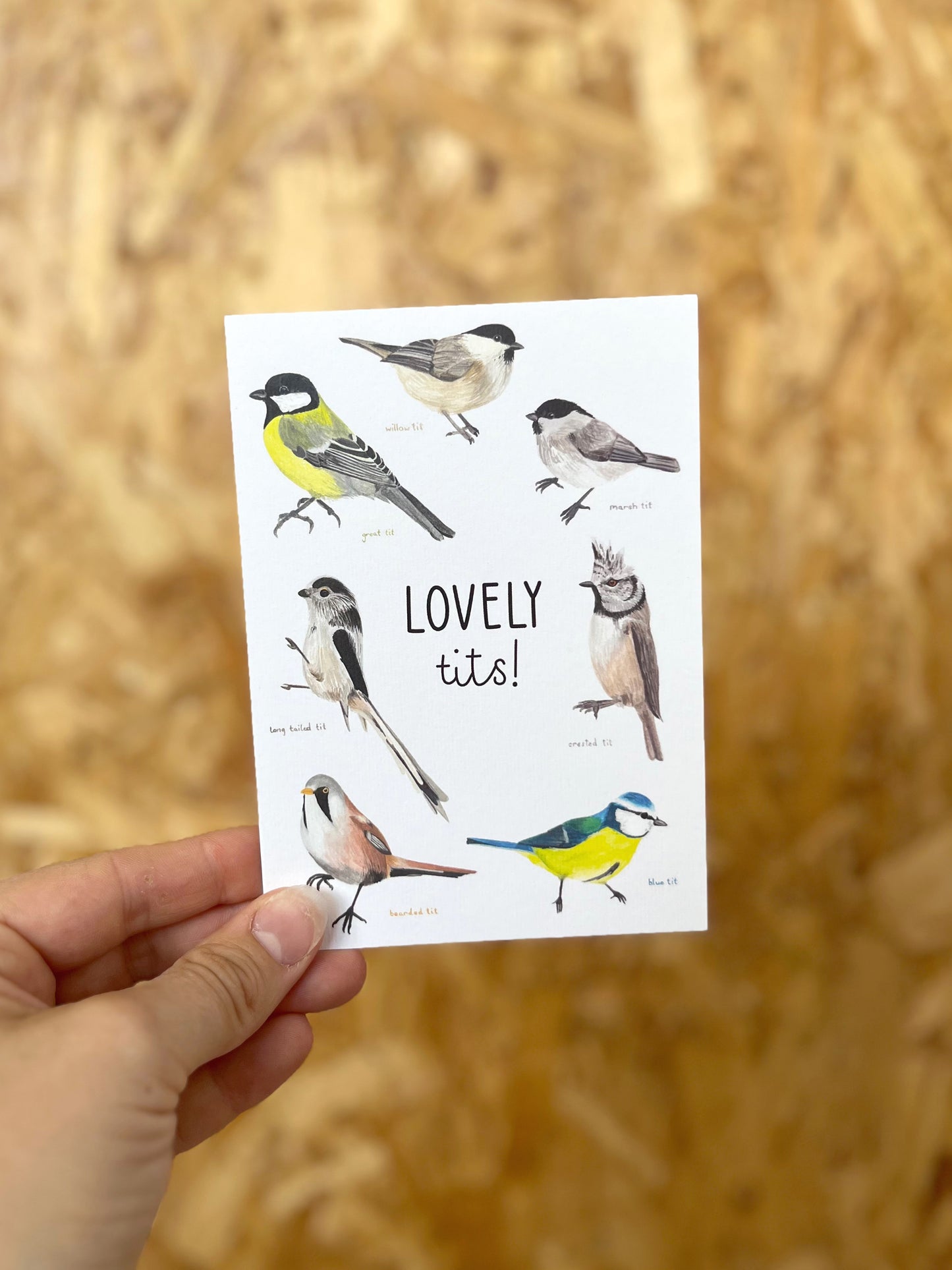 Lovely Tits Card