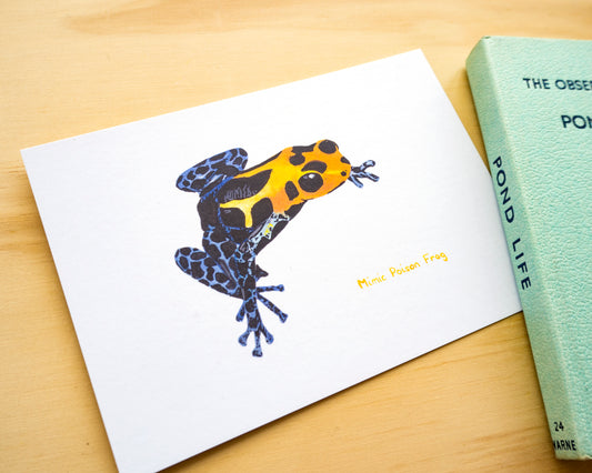 Mimic Poison Frog Postcard