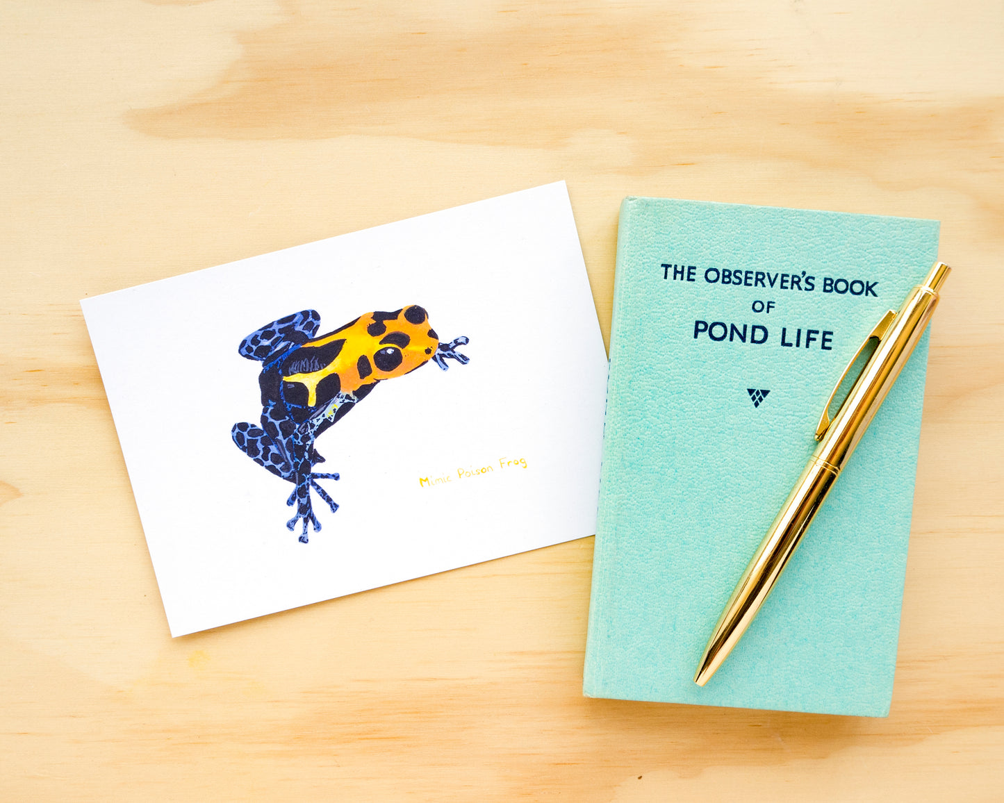 Mimic Poison Frog Postcard