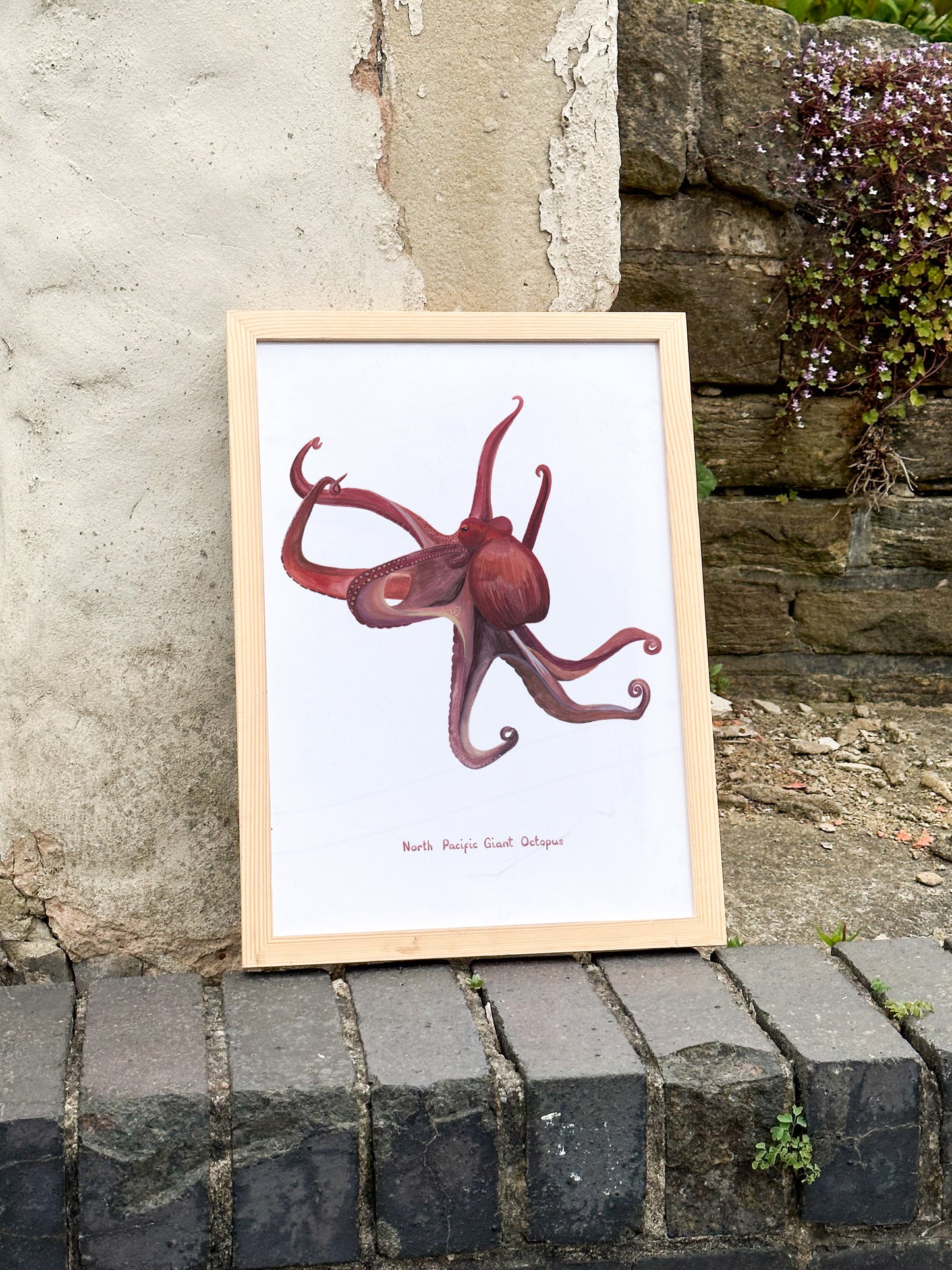 North Pacific Giant Octopus Print