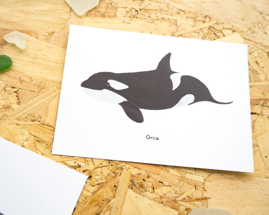 Orca Postcard