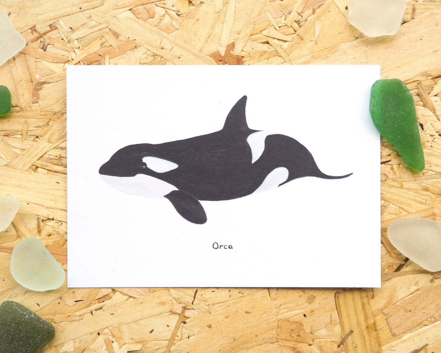 Orca Postcard