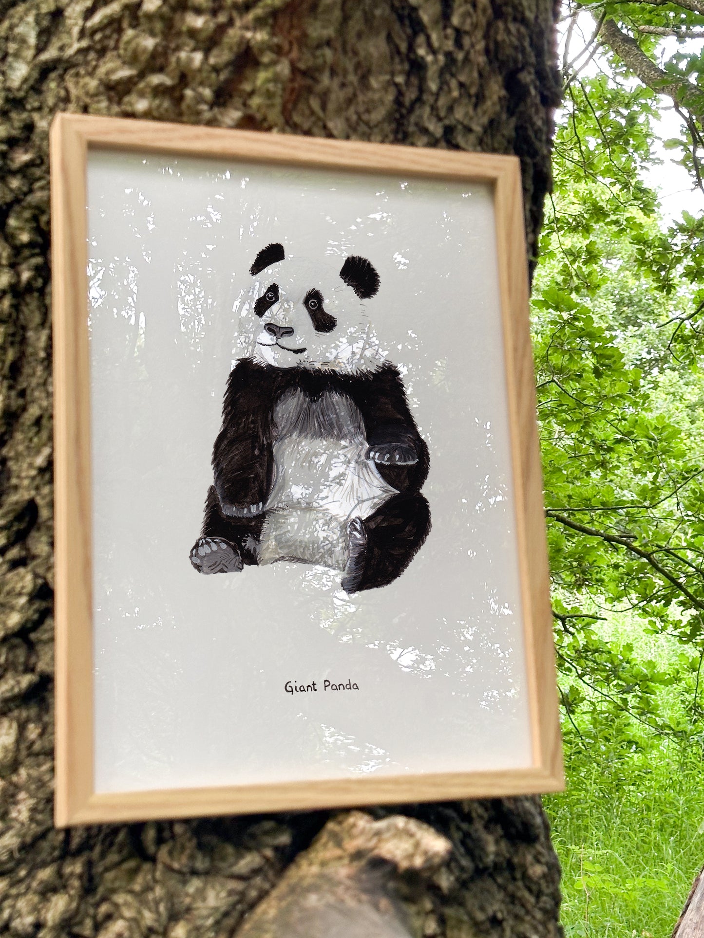 Young Giant Panda Print