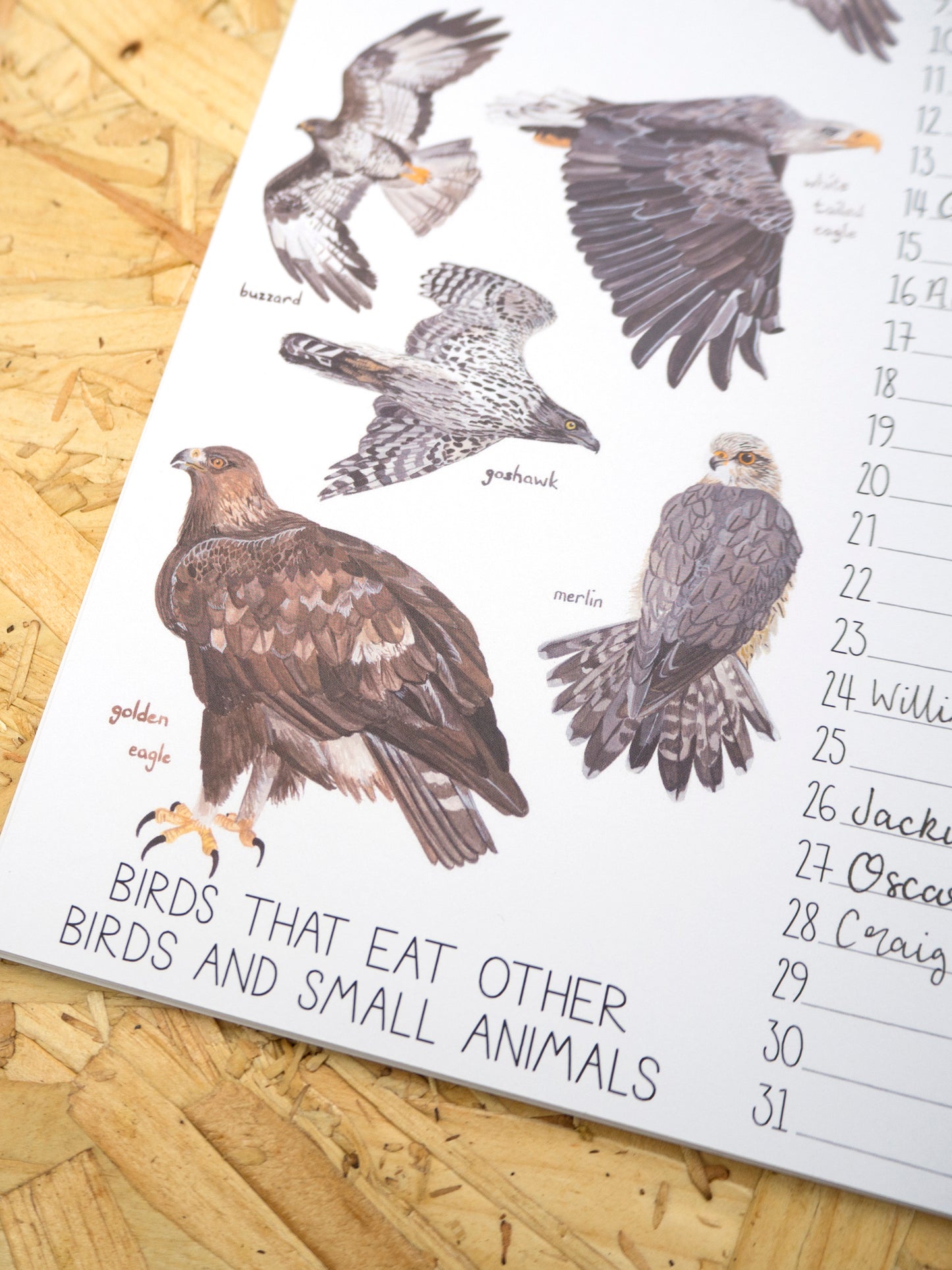 British Birds A4 Perpetual Calendar